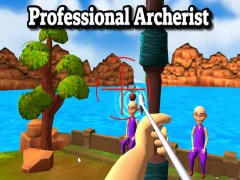Professional Archerist — free online game