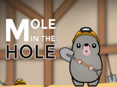 Mole in the Hole — free online game