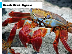Beach Crab Jigsaw — δωρεάν online παιχνίδι