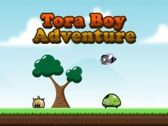 Tora Boy Adventure — free online game