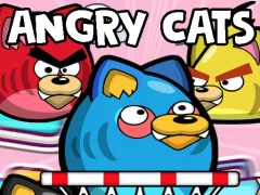 Angry Cats — free online game