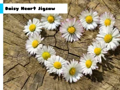 Daisy Heart Jigsaw — δωρεάν online παιχνίδι