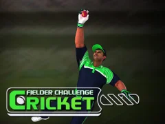 Cricket Fielder Challenge — free online game