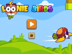Loonie Birds — free online game