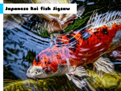 Japanese Koi Fish Jigsaw — δωρεάν online παιχνίδι