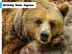 Grizzly Bear Jigsaw เกมออนไลน์