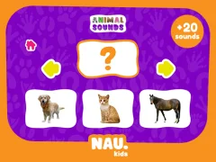 Animal Sounds — free online game