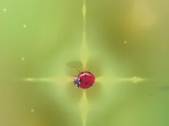 Pest Control — free online game