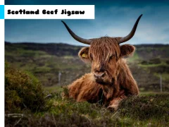 Scotland Beef Jigsaw เกมออนไลน์