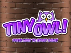 Tiny Owl — free online game