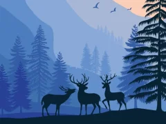 Landscape Paradise Hidden — δωρεάν online παιχνίδι