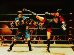 Игра Fighters in the Ring онлајн