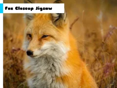 Fox Closeup Jigsaw — δωρεάν online παιχνίδι