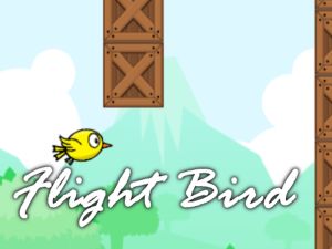 Flight Bird