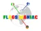 Flags Maniac — free online game