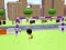 Crazy King Of Soccer – tasuta veebimäng