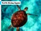 Turtle Diving Jigsaw เกมออนไลน์
