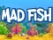 Mad Fish — free online game