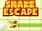 Snake escape — free online game