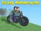 Gra Crazy Motorcycle w Internecie