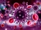 Coronavirus Puzzle — free online game