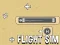 Hra Flight Sim