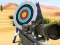 Hit Targets Shooting — free online game
