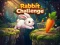 თამაში Rabbit Challenge ონლაინ
