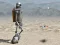 Automaton 2015 — free online game