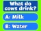 Trivia! Best Family Quiz