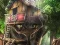 Hidden Treehouse — free online game