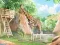Carla's Animal Show — free online game