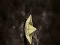 It enter the sewer — free online game