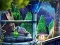 The Witch of Egrya — free online game