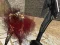 Zombie Warfare — free online game