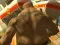 Monster Simulator — free online game