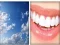 4x1 Picture Quiz — free online game