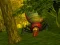Infestation — free online game