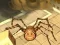 Spider Simulator: Amazing City — free online game