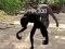 Plague — free online game