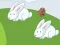 Crazy Eggs — free online game