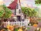 Taste the Tradition — free online game
