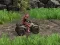 ATV Offroad Trials 2 — free online game