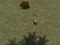 You're a Gold Digging Fool — free online game