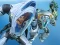 Die Nektons: Tiefsee-Training — free online game