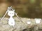 Our Little Island — free online game