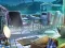 The Mysterious Creatures — free online game