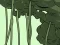 Abandoned the Forest — free online game
