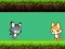 Cat vs Dog