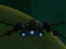 Spaceship Arena — free online game